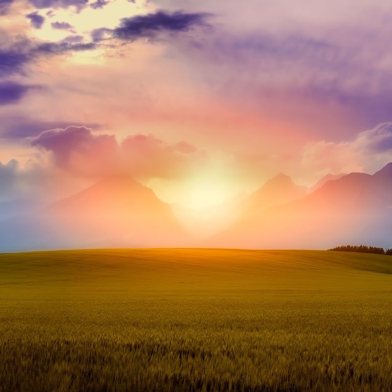 Sonnenaufgang über Wiese